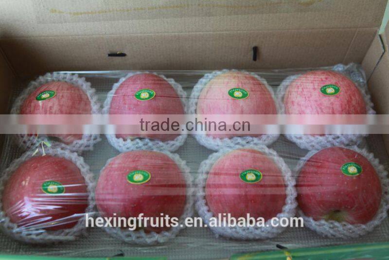 Fresh Red Shanxi Qinguan Apples Import From China