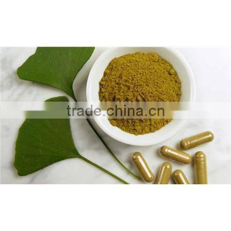China Qingdao Supplies Best Quliaty And 100% natural giant knotweed extract powder