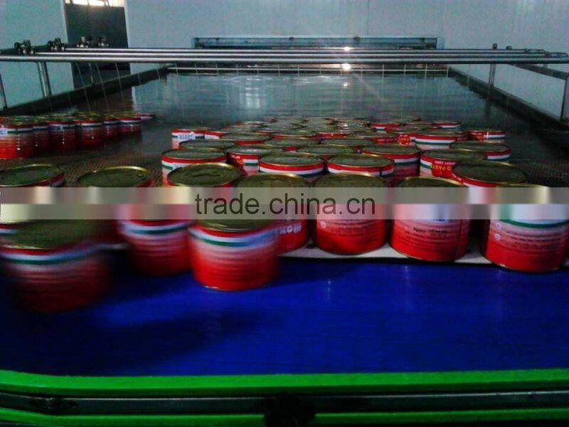 oem brand canned tin packing tomato fresh ketchup tomato paste sauce