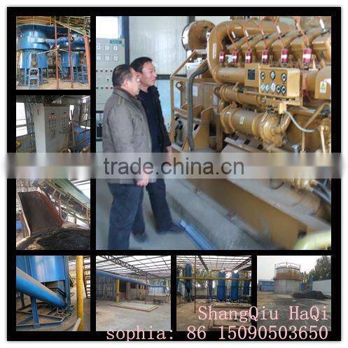 Biomass generator equipment