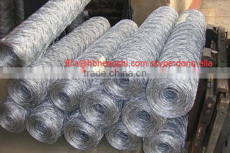 Hot selling galvanized hexagonal wire mesh with low price
