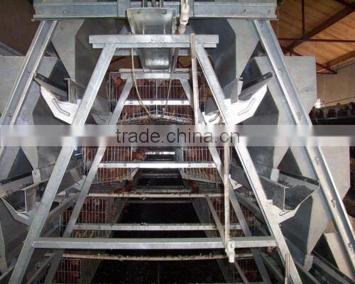 Zhongzhou automatic poultry battery chicken cage for Africa