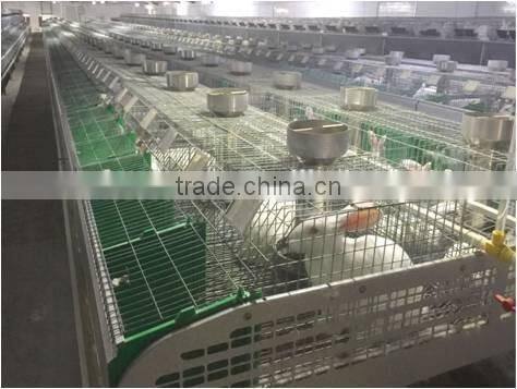 cages rabbit the new rabbit cage equipment