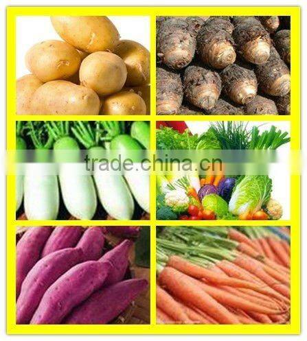 24 ALPCS-3 Promotion price potato cutter/potato slicing machine for sale