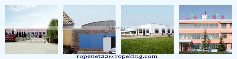 PP monofilament yarn equipment pp raffia yarn extruder machine for danline email:ropenet22@ropeking.com