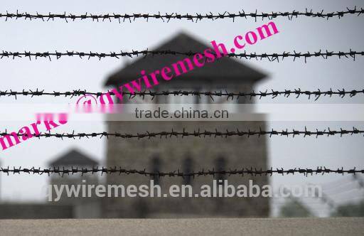 Steel Security Fence Barbed Wire Roller/low price Razor barbed wire