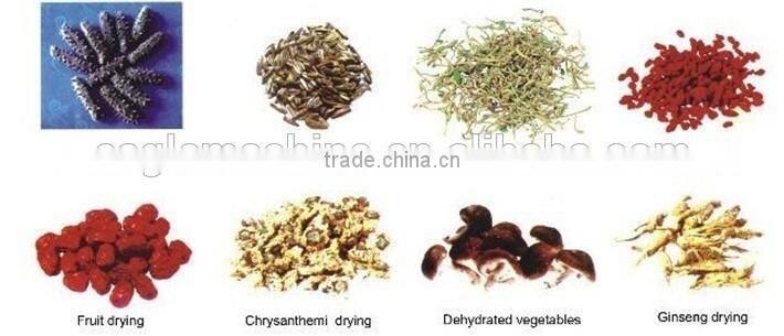 Industrial tray type vegetable mushroom dryer machine