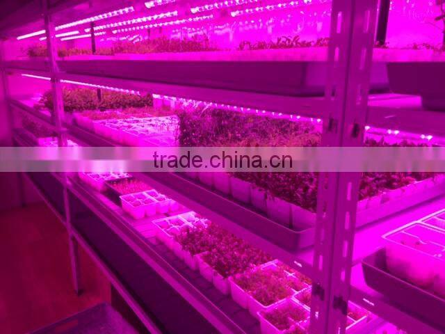 cheap but good full spectrum led grow lights 20W best led lamp for hydroculture