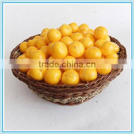Wholesale decorative fake fruit