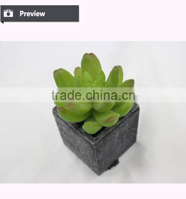 Wholesale artificial min succulents potted garden arrangement cheap mini plant