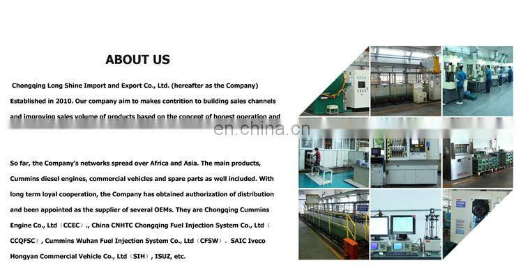 Hot Sale Special Price Wholesale NT855 injector cup 3005963