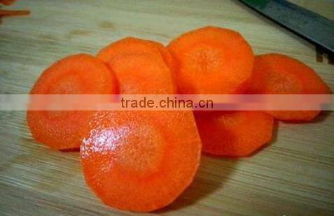 School Used Industrial TJ-311 Wafer Cutting Machine