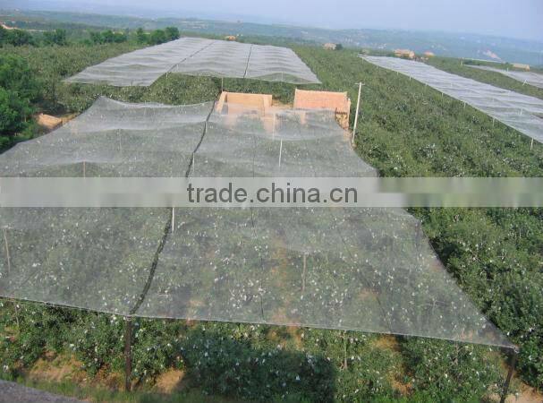 Good quality anti hail mesh for agriculture