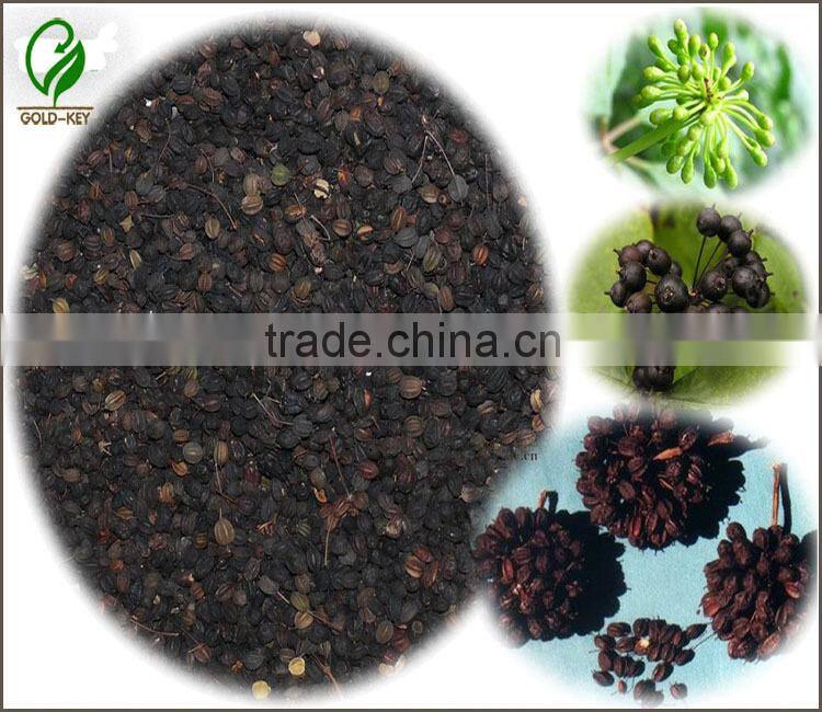High Quality Siberian Ginseng Extract, Siberian Ginseng Extract Powder, 100% Eleuthero Extract