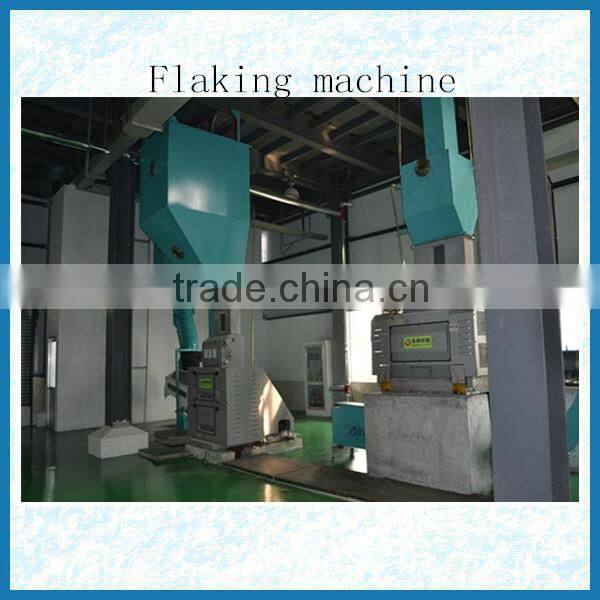 Professional edible oil pre-treatment equipment for rice bran