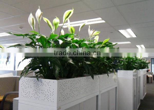 Real Touch Plastic Plant Artificial Spathi phyllum