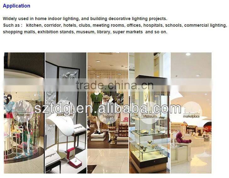 CE RoHS15w 20w 25w 30w Adjustable COB LED Trunk Light indoor