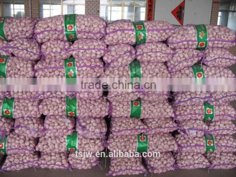 2015 No pollution and New harvested garlic