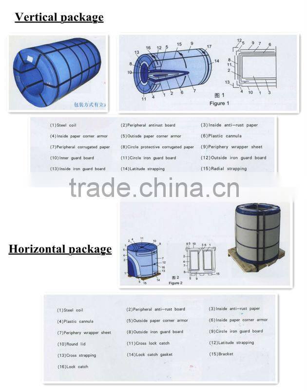 Galvanized steel sheet and coil 112118