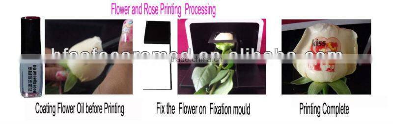 Diamant Nail Art mahine