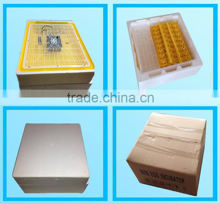 Small little turtle incubator / automatic egg incubator