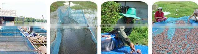 blue nylon net/pe farm net/pe screen fishing net/mosquito blue net/window screen net