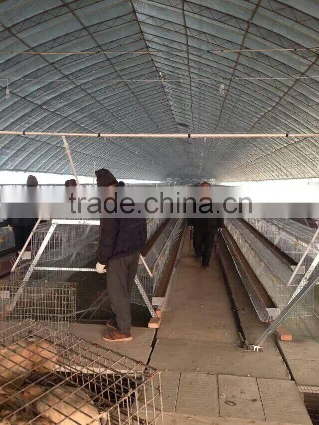 layer poultry cages for kenya farms /layer poultry cages for nigeria/africa (Lydia : 0086.15965977837)