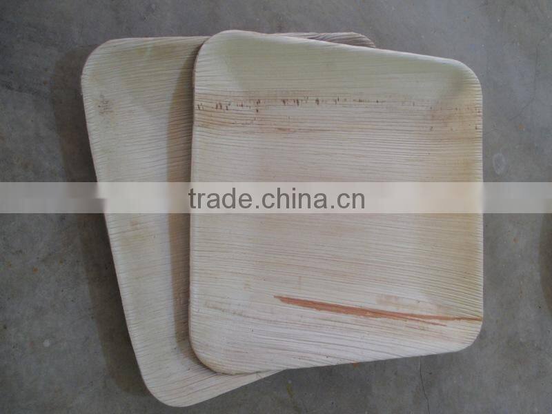 High Quality of New Square Shape Areca Plate Supplier in Malaysia / Singapore / Thailand