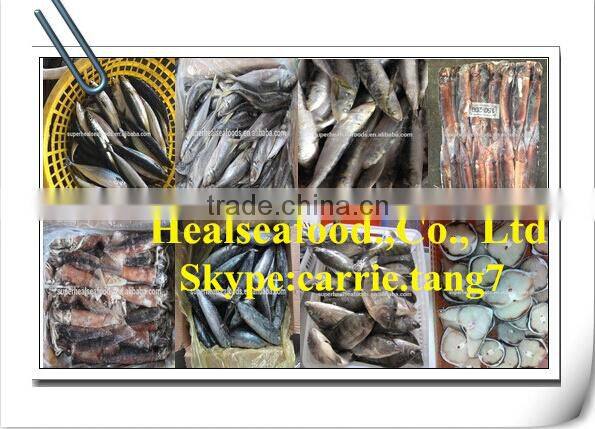 New Fresh 80-100g Frozen Sardine Bait