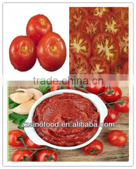 Various Kinds 70g to 4500g Tomato Paste for Canned Metal Tins
