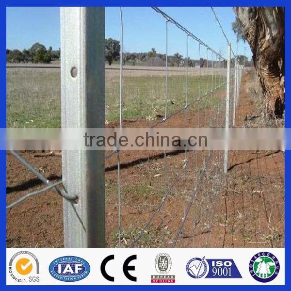 high quality cross knot fence/deer fence (Deming factory, ISO900 certificate)