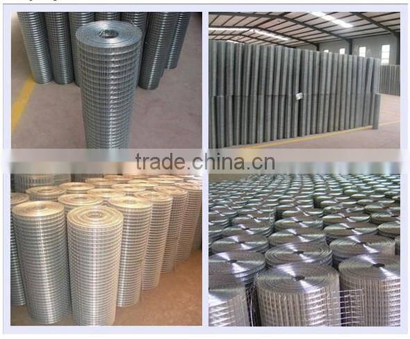 high quality electro galvanized welded wire mesh(ISO9001) from china anping sanxing factory(professional manufacturer)