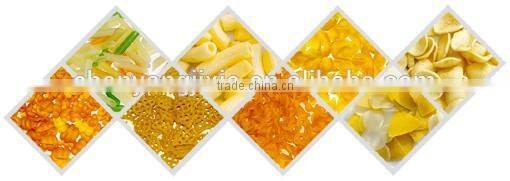 2015 Hot Sales New Stainless Steel Fully Automatic Fried Puffed Food Production Line