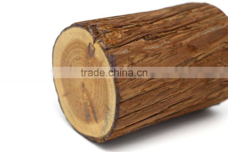 Wood Stump Pen Holder , Nature Wooden Pencil Holder , Eco-Friendly Pen Holder