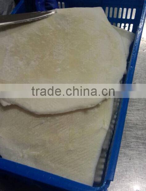 feed of squid fillets