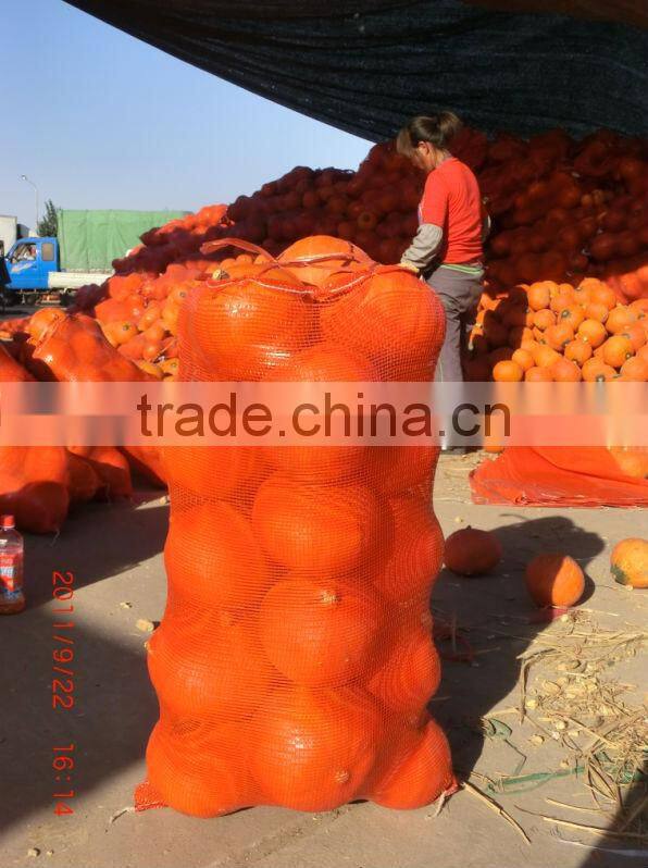 pp onion sacks, knitted netting bags for onion, factory manufacture