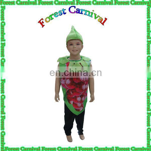 20141315 Popular New Fashion Vegetable Costumes For Kids