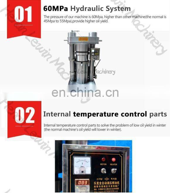 hot sale olive peanut oil press machine camellia oil extracor