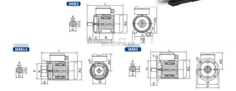 ML series 70w motor small induction motor single phase 300w