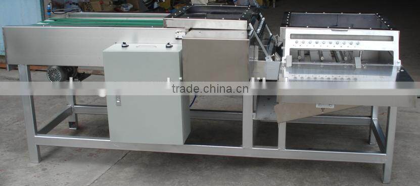 Commercial Waffle Production Line|Hot Sale Wafer Cake Processing Line