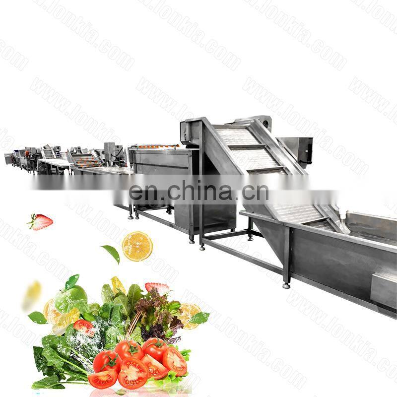 Industry Ultrasonic Fruit Processing Line Fruit Washer / Vegetable Washing Machine