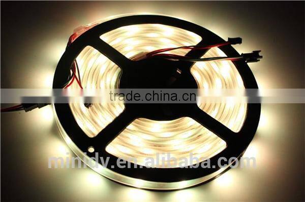 5050 SMD 30/60LED/M RGB Full Color Dream Color WS2812 LED Strip Light with IP67 Waterproof Tube