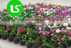 Plastic nursery pots and planters