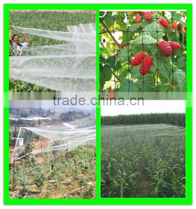 high quality virgin HDPE crops top cover anti-bird stretch net