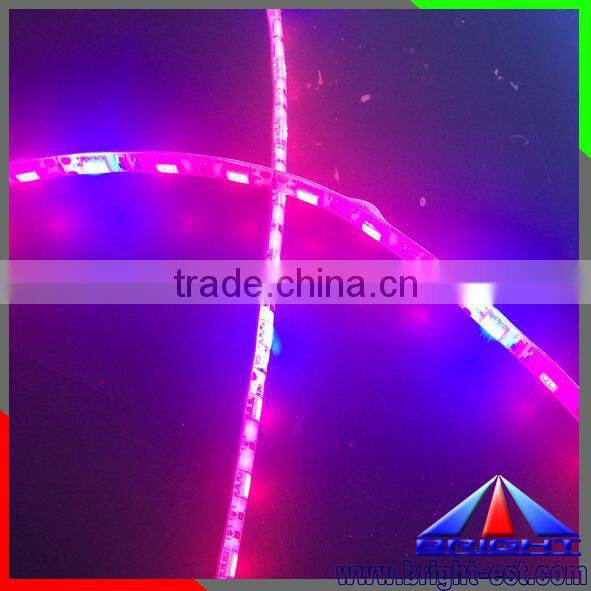 300 leds/m plant grow LED light strip DC12/24V