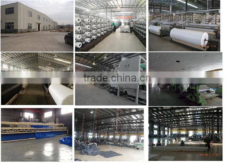 Heavy duty poly tarps anti-uv tarpaulins export to Germany
