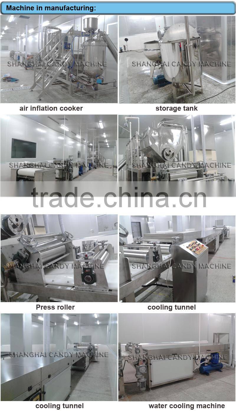 NZ300/600 Peanut Nougat candy cutting machine