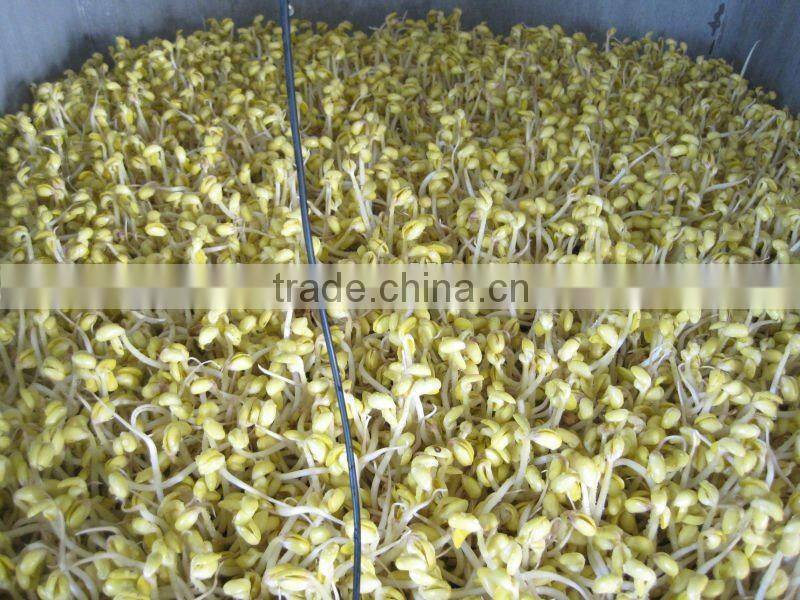 Fully Autmatic Bean Sprout Machine(CE)