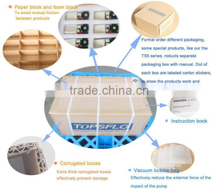 6v 12v 24v dc diaphragm small ozone purifier for air water with air pump