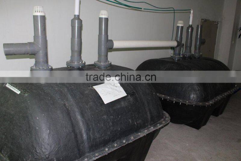 China Puxin Biogas Septic Tank for Hotel Sewage Treatment Plant
